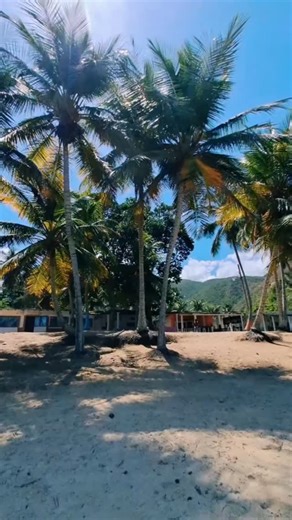🚤 Cepe: El Paraíso Escondido de Aragua ¡Cepe es el escape que necesitas! 🤩 Este paraíso natural, ubicado a solo 30 minutos de Choroní, te regala playas increíbles como Puerto Escondido y miradores que te dejarán sin palabras. ¡Prepara tu cámara, porque aquí te tomarás las mejores fotos! 📸 Ven a Choroní, ¡alquila mi lancha y te llevo a descubrir este paraíso inolvidable! #Cepe #PuertoEscondido #Choroni #ViajesEnLancha #ParaisoNatural | Fullchoroni.LM / Turismo y Playa