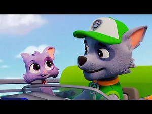 PAW Patrol Rocky's Cat-Astrophe | Percy, A New Friend | Coming January 30
