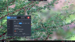 c++加ffplay将视频设置为壁纸