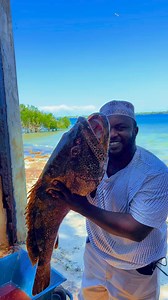 22K views · 649 reactions | #fish #samaki #naming #mombasafishmarket #challenge #kenya #blueeconomy #shimoni #shimonifishport #Ecosystem #marine #kenyaportsauthority #management | Mombasa City FISH Market | Facebook