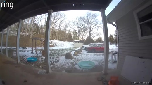 Funny Boy Moment: Peeing Outside in the Snow