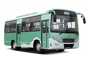 [Hot Item] New Energy CNG Buses Sightseesing Bus for Public Transportation City Bus Customizable