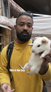 73K views · 511 reactions | Eating a live guinea pig in Peru | princezee | Facebook