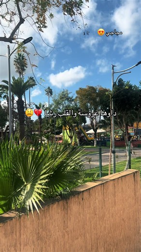 داوها عروسة والقلب رشا #viraltiktok #fyp #المجاجي #غليزان_وهران_مستغانم_بلعباس_تلمسان