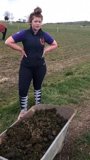 Effective Ways to Pick Horse Poop and Keep Your Barn Clean