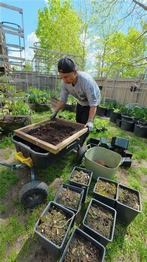 It’s the perfect way to recycle old potting soil!