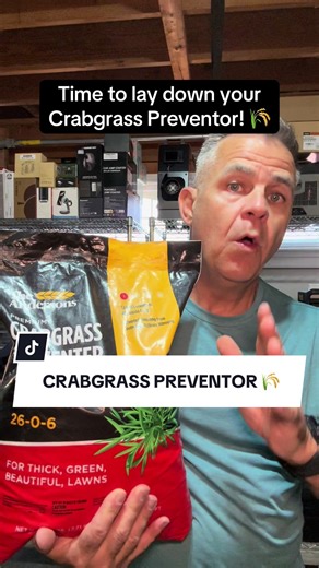 Pinger (@pinger029)’s videos with original sound - Pinger