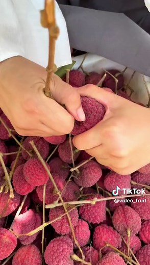 Amazing Fruit ASMR Experience in 1 Minute