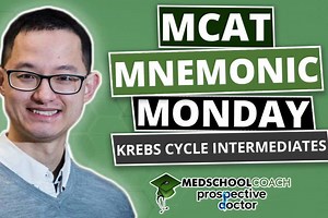MCAT Mnemonics: Krebs Cycle Intermediates