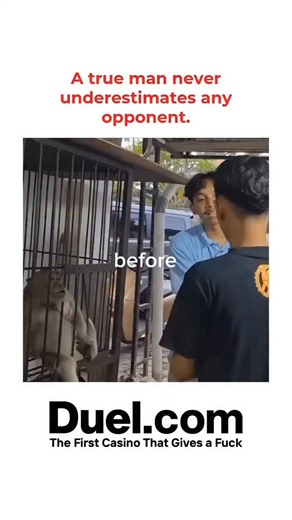 trendflix on Instagram: "This is a hilarious reminder that you should never take any challenge lightly, no matter how confident you feel! In the first half, labeled "BEFORE," we see a young man casually approaching a monkey in a cage. He extends his hand for what seems like a friendly handshake or a gentle playful interaction. He looks composed, maybe even a little cocky, and seems to be underestimating the powerful instincts and speed of the primate on the other side of the bars. Then comes the