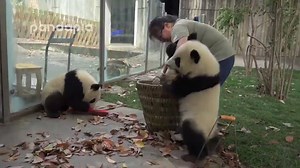 14M views · 73K reactions | Now I know exactly what raising twins was like for my mom  | Drew Scott | Facebook