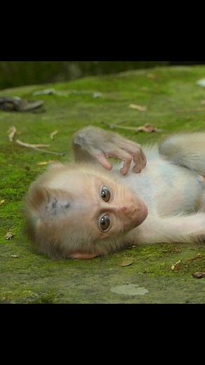 His mother’s name echoes through every shout | Alien TV | Facebook