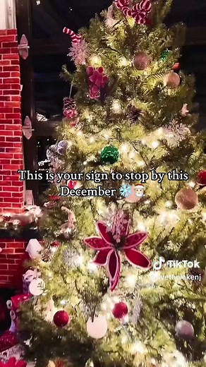 The resturant turns into a winter wonderland on Lake Hopatcong, NJ this season 🎄 📍the Windlass, NJ #livethelakenj #newjersey #winter #cozy #foodie #northjersey #trending #fyp #visitnj #fypシ #foodtiktok #christmas #winterwonderland #winter #wonderful #christmastiktok #holidaycountdown #holiday