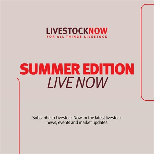Livestock Now is back, with our edition for summer. This edition is packed with content and analysis covering outlooks for sheep and cattle from independent livestock analyst Simon Quilty, as well as field commentary from our state livestock and stud stock managers. Read now: https://elders.com.au/for-farmers/livestock/livestock-now/ | Elders Limited