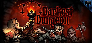 Darkest Dungeon | Co-op & Multiplayer Split Screen LAN Online Info | PlayCo-opGame