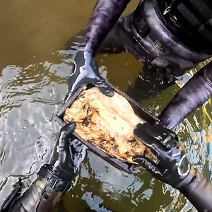 3.5M views · 5.7K reactions | The Most Disturbing Find Ever... | D ALL MY D | Facebook