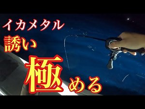 達人の指導の元でイカメタルの誘いを極めてきました！【イカメタル&オモリグ】
