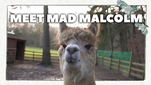 37 reactions · 6 comments | For the first time ever you can watch the...