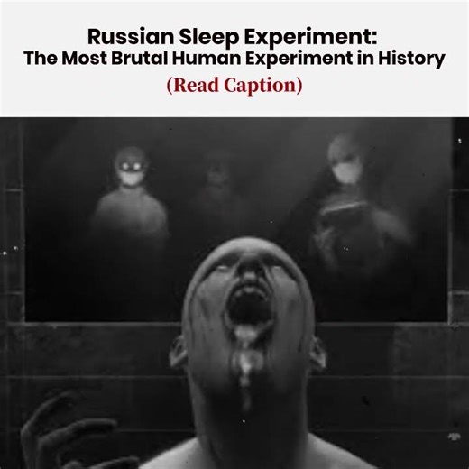 Russian sleep experiment