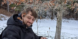 Biodynamic Tree Paste Recipe