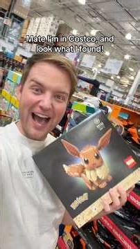 Making An Eevee Lego Set!