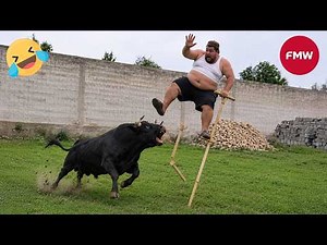 Try Not To Laugh 🤣 Top 99 Funniest Videos Ever 😂 | Funny Videos Compilation 2026 #208