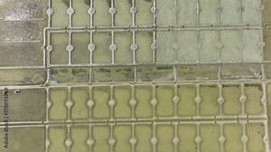 Guérande salt marshes, Loire Atlantique, France