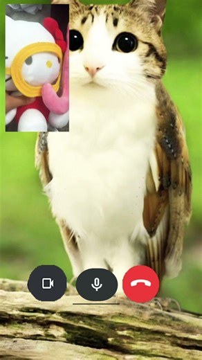 This hello kitty id kinda mean