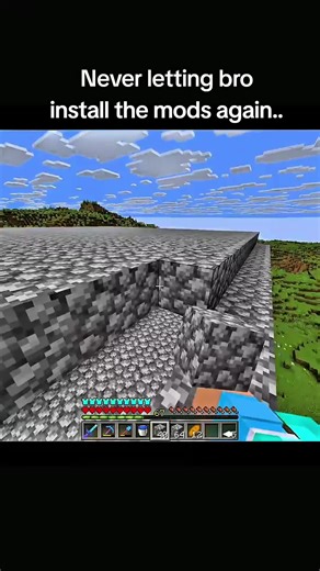 Never Letting Bro Install Mods Again