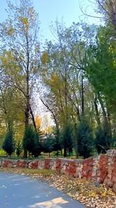 Beautiful view of autumn #Mountain #Autumn #View #ForYou #Viral #FacebookReels | Beautiful Valley