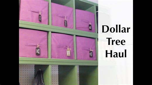 Cheap organizing | Dollar Tree new products & haul!