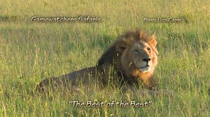 9K reactions · 1K shares | Kenya's iconic wildlife needs help to...