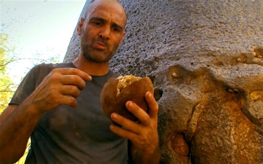 一口气看完德爷的荒野求生全集，不是在挨饿就是在挨饿的路上