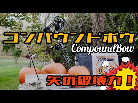 The destructive power of the compound bow!