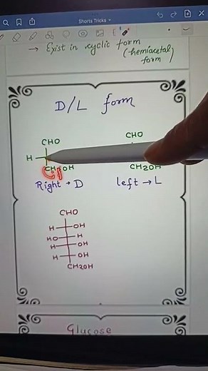 D/L form