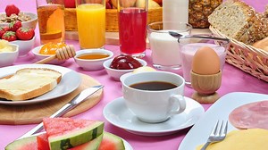 Löwenzahn: Ernährund und Umwelt