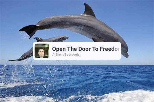 16 reactions · 3 comments | Taiji, Japan: Due to a three-day festival, the dolphin hunting fleet will remain in port. Wild dolphins are safe and free for another day. BLUE COVE!  | Oceanic Rescue Center and Awareness - ORCA | Facebook