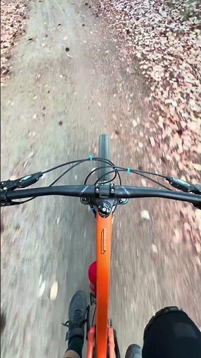 Mountain Biking in the Ashland Watershed