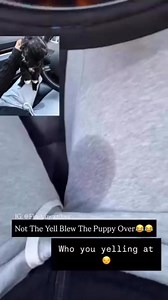 1.5M views · 94K reactions | My bad dog!  | Clyde B Owuama | Facebook