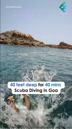 🌊 Experience 40 minutes of real scuba diving in Goa with Flying Fish Scuba School!#ScubaDiving #Goa