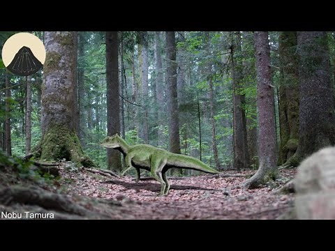 Evolution of Triceratops (the Ceratopsians)