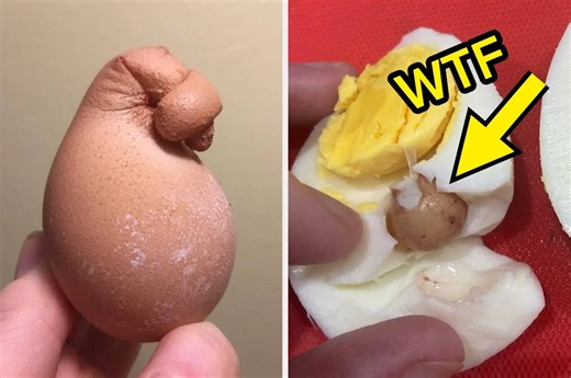 Just 40 Weird, Sickening, And Mind-Blowing Photos Of Eggs