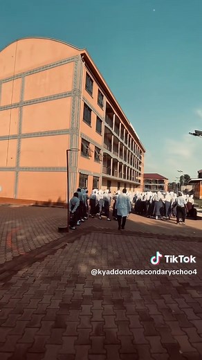 UNEB Examinations for Form 4 in 2025: Your Success Awaits