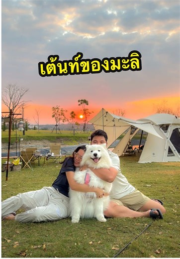 Replying to @ไร่นาป่าเขา เต้นท์ตัวนี้ต้องจบแล้วนะมะลิ 😂🏕️