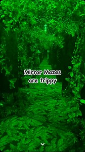 Take a walk through the mirror maze at the Butterfly Palace in Branson #bransonmo #branson #bransonmissouri | In The Loop