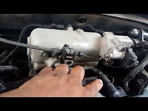 Vavula PCV ¿Donde estas?