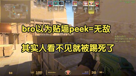 【付费挨骂】问题多到抽象，包括但不限于钻不进VIP的洞