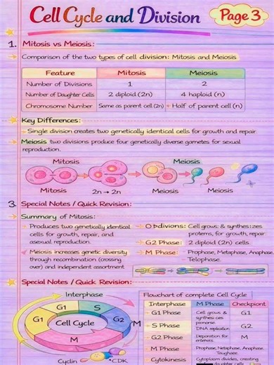 #Cell cycle and Cell Division process