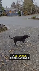 3.9M views · 85K reactions | I mean, we've all seen this horror movie. ‍☠️ | Ozzy Man Reviews | Facebook