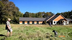 We care about your dog as much as you do! QK offers fresh air, friends, and room to play. Like us for more. | Quinebaug Kennels: QK Dogs